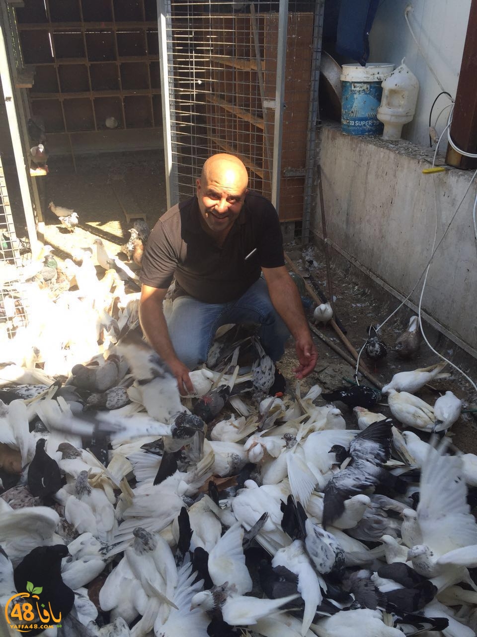 zohdy 3ashor (22).jpg